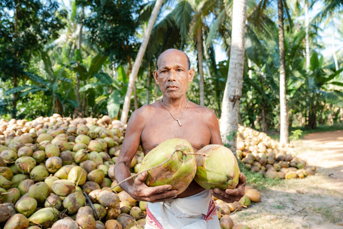 Kokosnuss & Frucht: Warum wir nur 3 Zutaten verwenden – und warum das besser für dich ist 🥥 - Nootz Deutschland